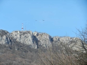 Kliknite za uvecani prikaz slike Radio Televizija Majdanpek - slika